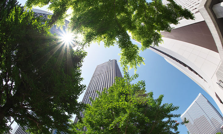 会社・団体の保険